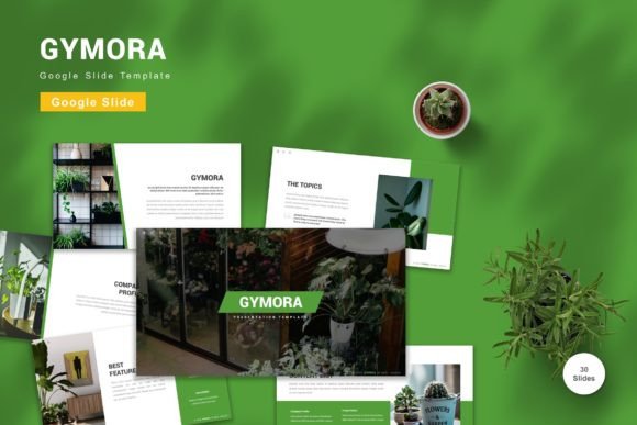Mastering Professional Storytelling with the Gymora Google Slide Template